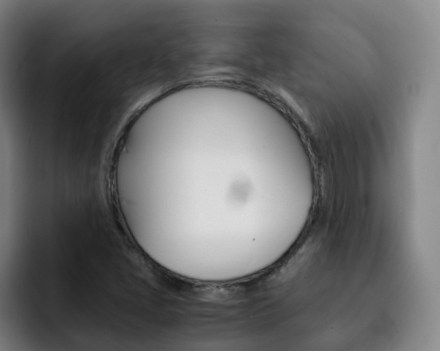 X0000093101405200709260919