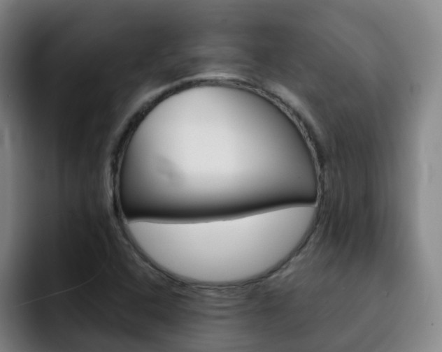 X0000093101408200709260919