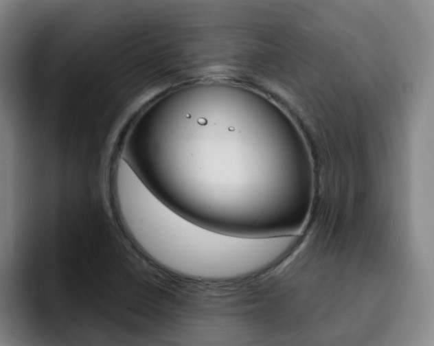 X0000093101410200709260919