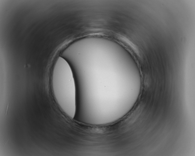 X0000093101411200709260919