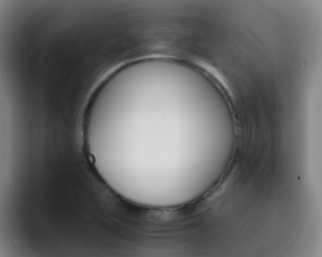 X0000093101415200709260919