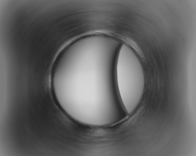 X0000093101420200709260919