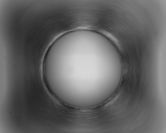 X0000093101423200709260919