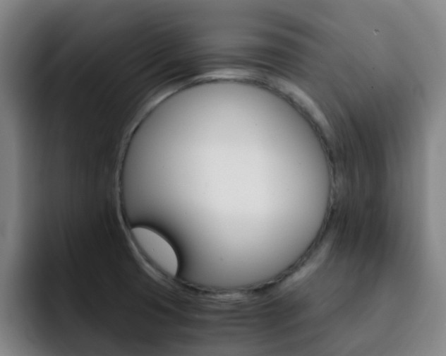 X0000093101425200709260919