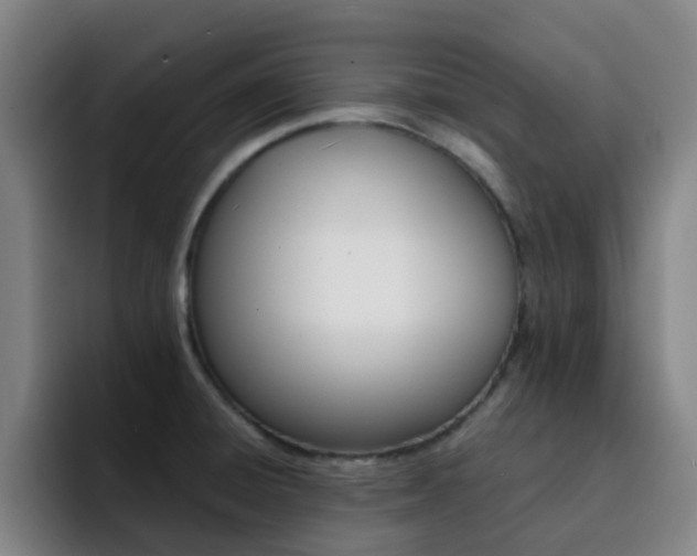 X0000093101428200709260919