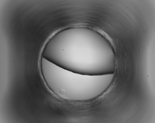 X0000093101429200709260919
