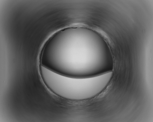 X0000093101430200709260919