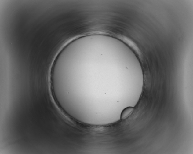 X0000093101431200709260919