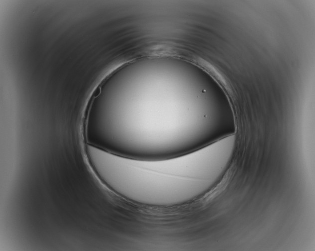 X0000093101434200709260919