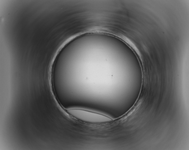X0000093101437200709260919