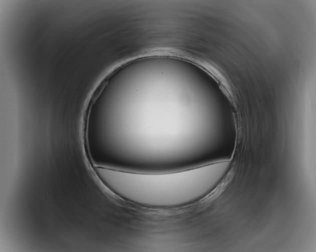 X0000093101438200709260919