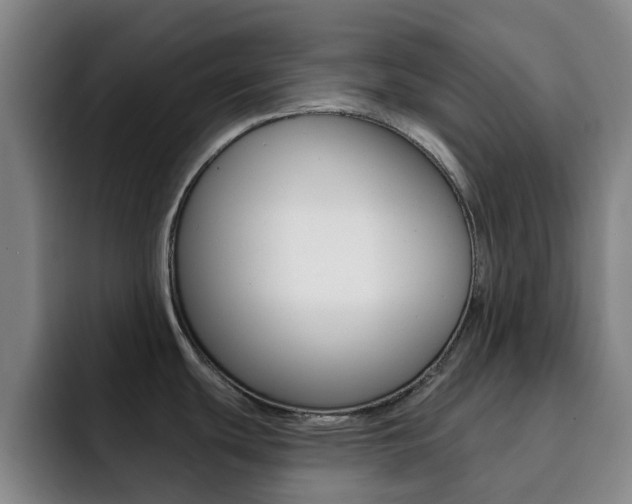X0000093101439200709260919