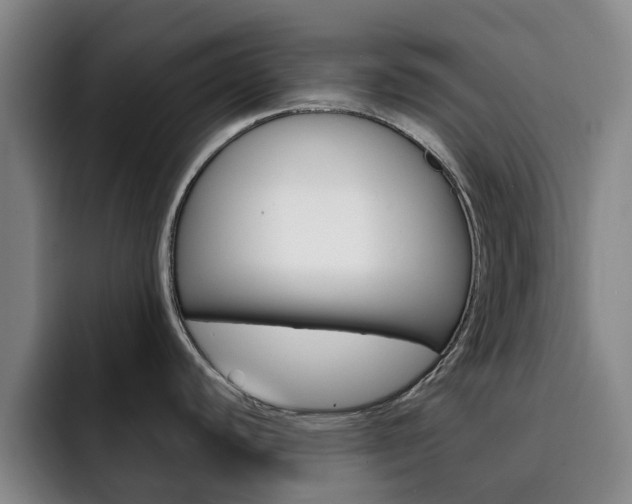 X0000093101440200709260919