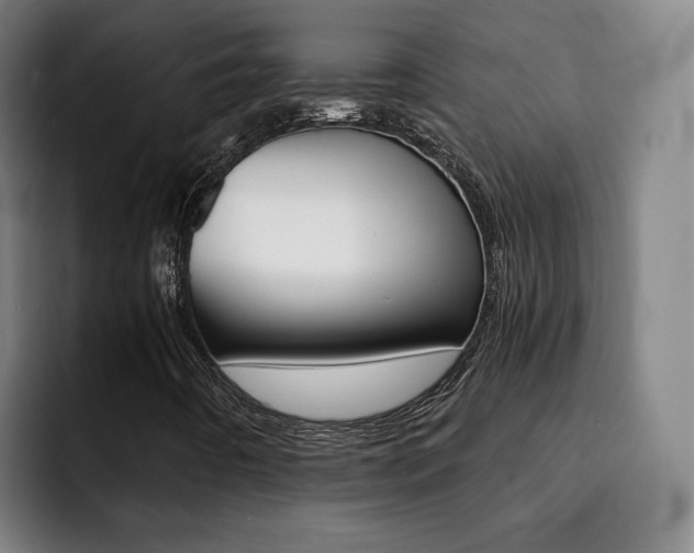 X0000093101442200709260918