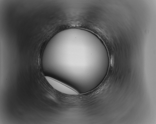 X0000093101444200709260918