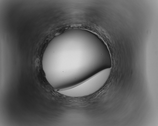 X0000093101445200709260918