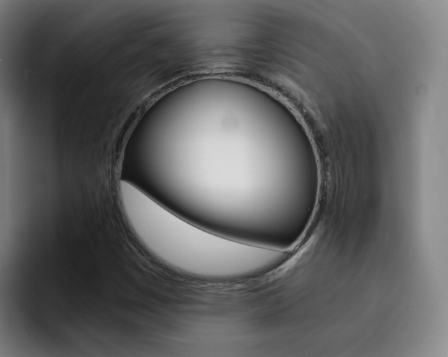 X0000093101449200709260918