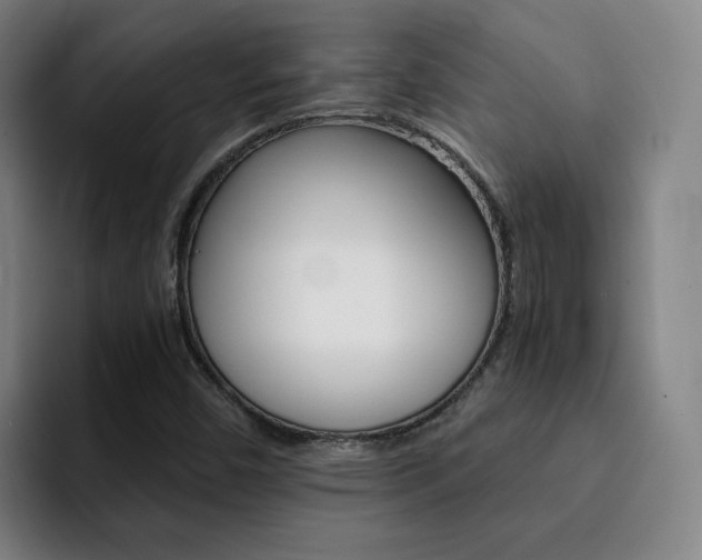 X0000093101450200709260918