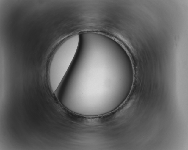 X0000093101453200709260918