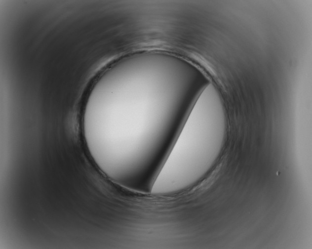 X0000093101458200709260918