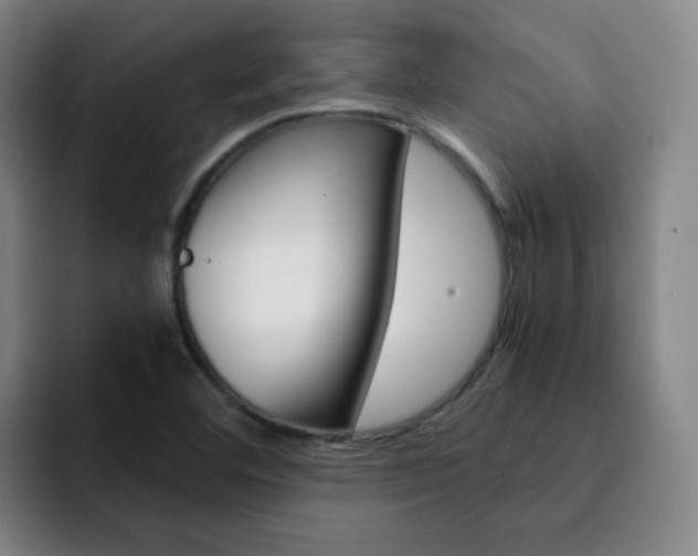 X0000093101460200709260918