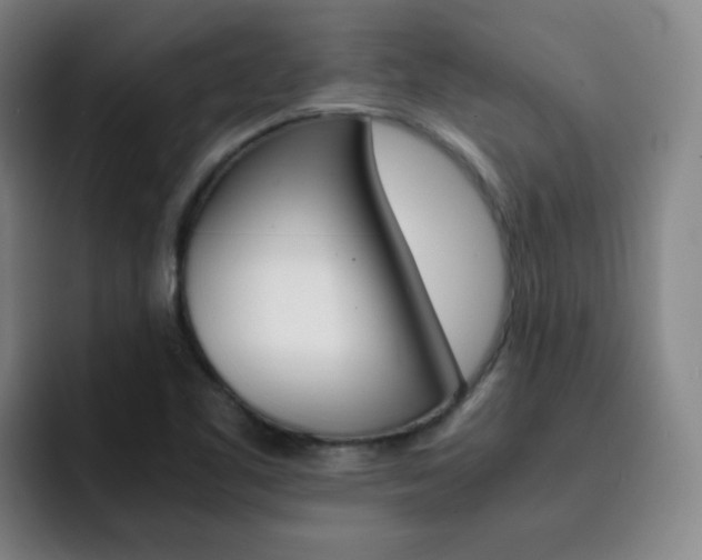 X0000093101461200709260918