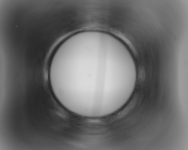 X0000093101462200709260918