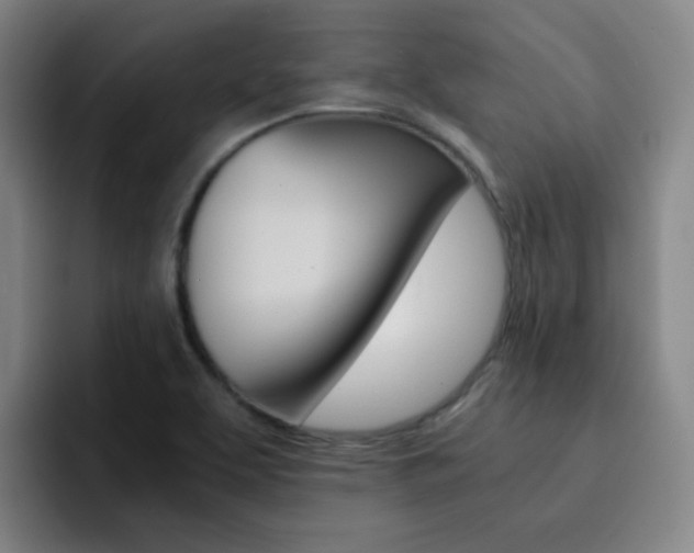 X0000093101463200709260918