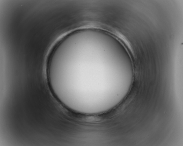 X0000093101464200709260918