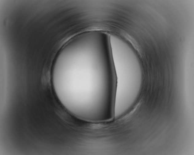 X0000093101465200709260918