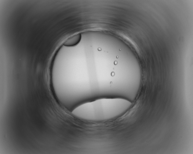 X0000093101467200709260918