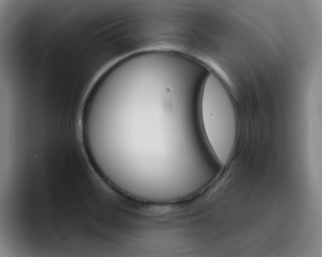 X0000093101468200709260918