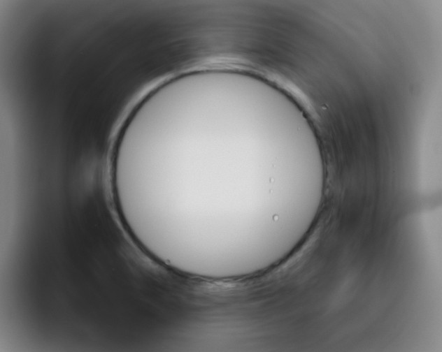 X0000093101470200709260918
