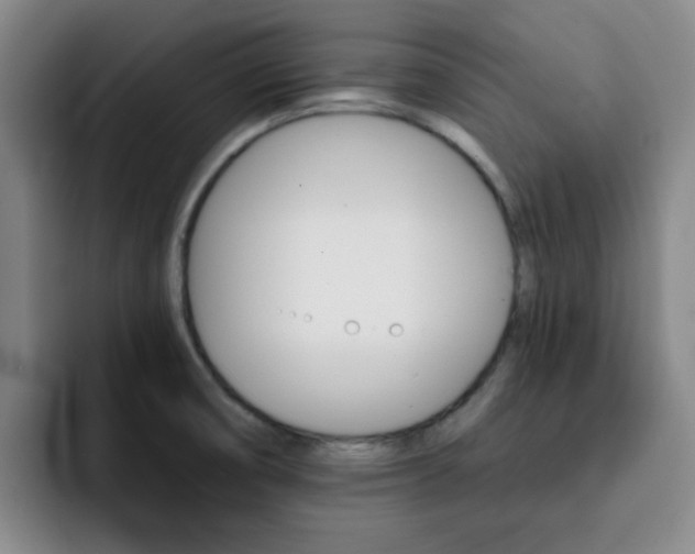 X0000093101474200709260918