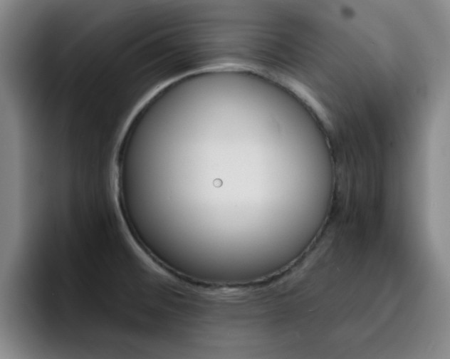 X0000093101476200709260918