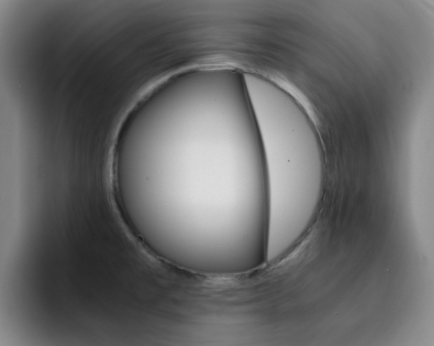 X0000093101477200709260918