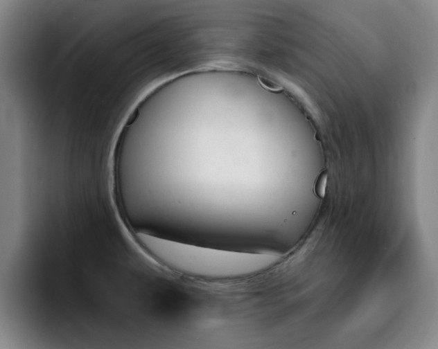 X0000093101479200709260918