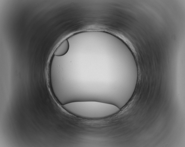 X0000093101486200709260918