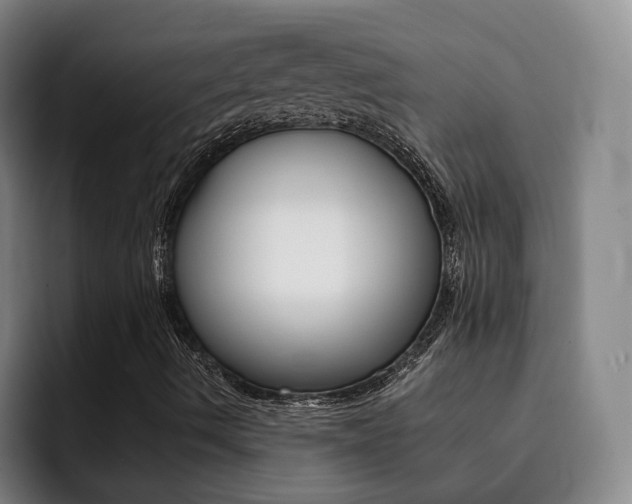 X0000093101490200709260917