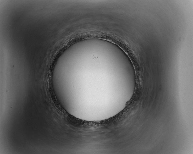X0000093101493200709260917