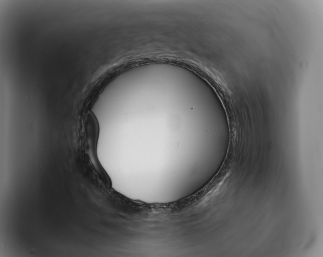 X0000093101494200709260917