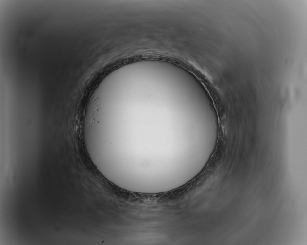 X0000093101495200709260917