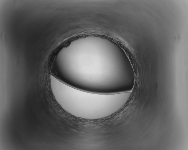X0000093101496200709260917