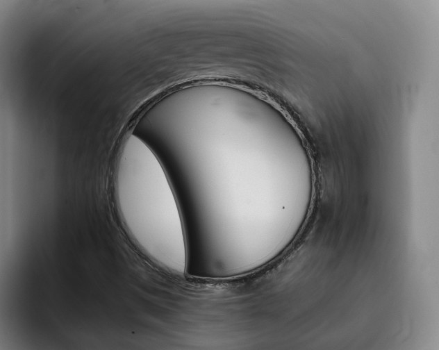 X0000093101497200709260917
