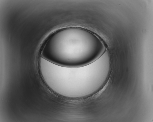 X0000093101502200709260917