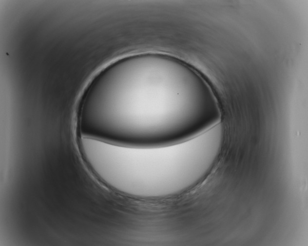 X0000093101508200709260918