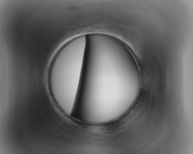 X0000093101511200709260918