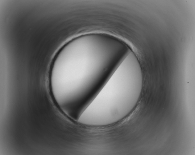 X0000093101518200709260918