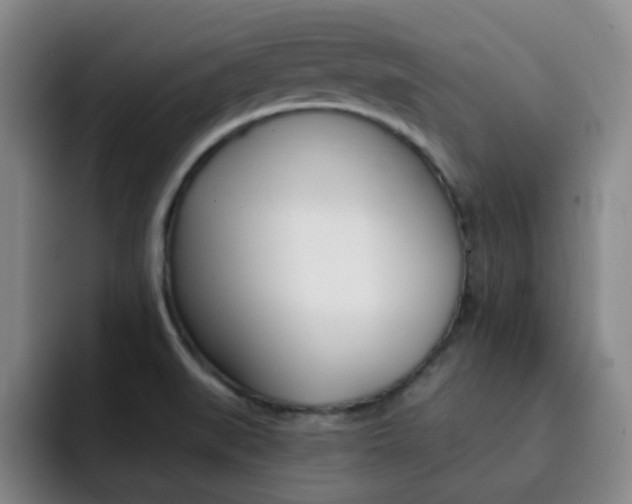X0000093101519200709260918