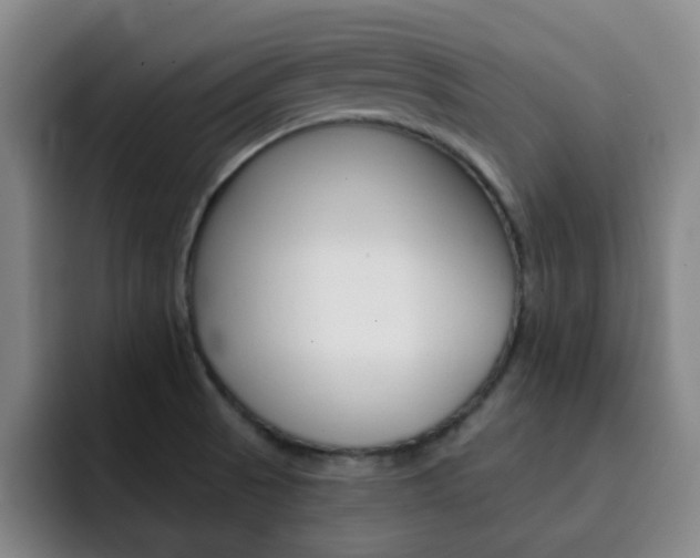 X0000093101521200709260918